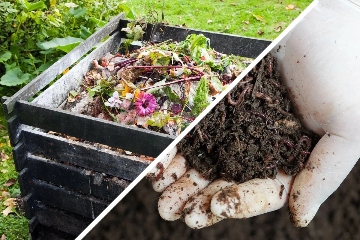 A split image showing a compost bin with food scraps on the left and a gloved hand holding finished compost rich in worm casts on the right, highlighting the difference between raw waste and nutrient-rich soil.