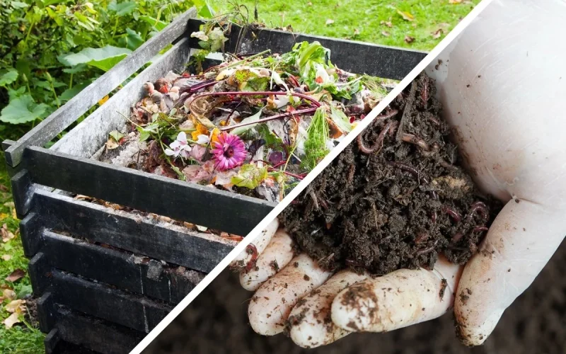 A split image showing a compost bin with food scraps on the left and a gloved hand holding finished compost rich in worm casts on the right, highlighting the difference between raw waste and nutrient-rich soil.